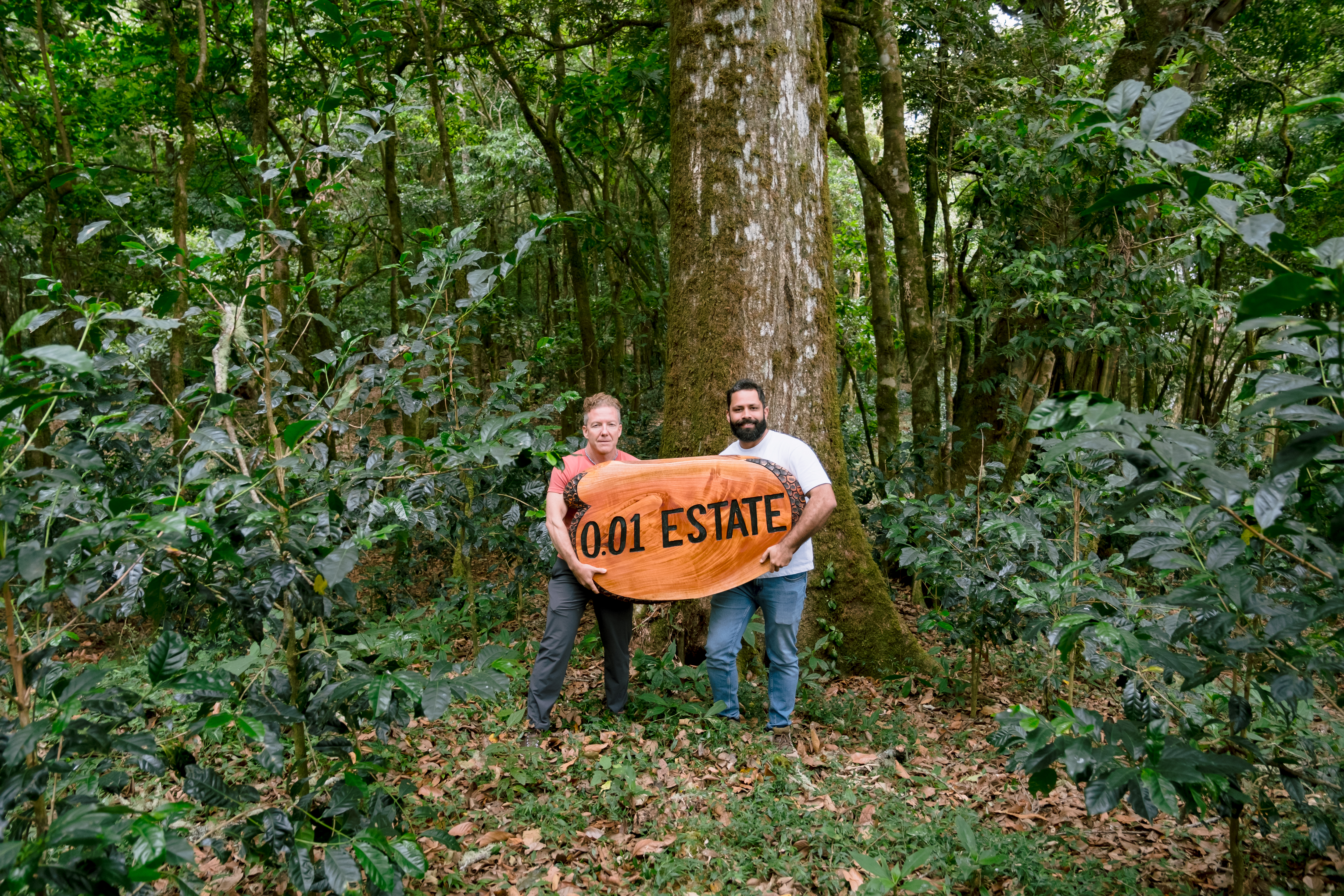 0.01 Estate — cafetal de Barú, Chiriquí, Panamá